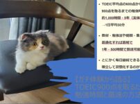 【ガチ体験から語る】TOEIC900点を取るための勉強時間と最速の方法